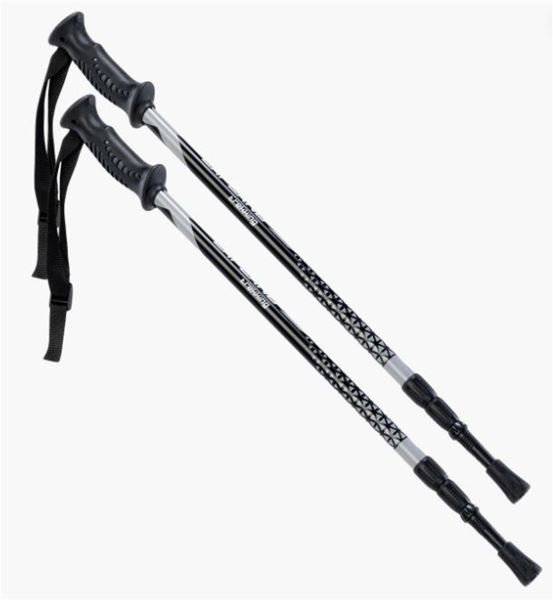 Picture of LAPLAND WALKING STICK MATT BLACK/ GREY